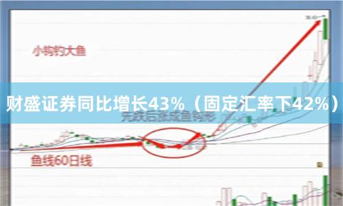 财盛证券同比增长43%（固定汇率下42%）