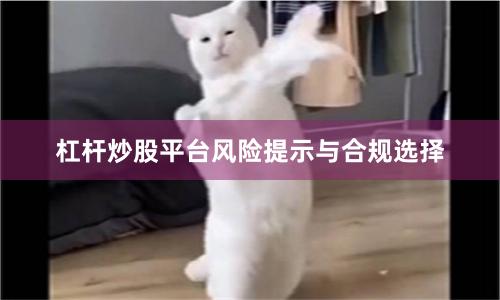 杠杆炒股平台风险提示与合规选择